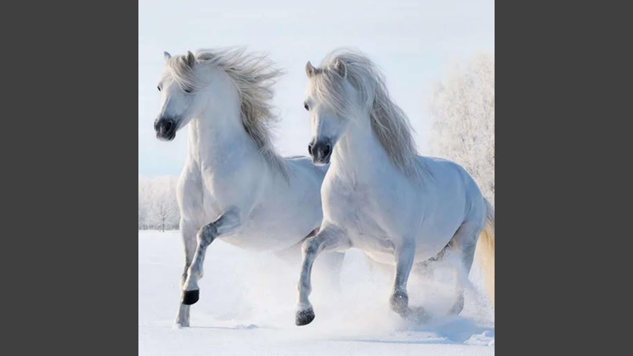 ЛЯ иляха иллАллах