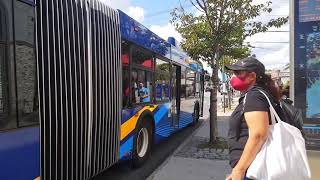Q52/Q53 SBS Buses On Cross Bay Blvd/157 Avenue!