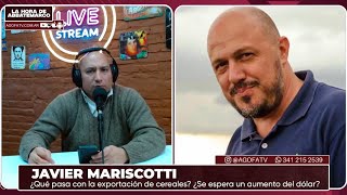 ¿Qué pasa con la exportación de cereales? Entrevista a Javier Mariscotti 