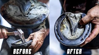 Horse Hoof Restoration | 4K ASMR (SATISFYING) by Maupin Farrier Co 6,915 views 2 months ago 7 minutes, 37 seconds