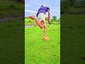 Ethiopian Best 540 Short Paranawe 540kick Viral Karate 