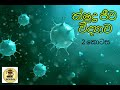 උසස් පෙළ ජීව විද්‍යාව නව විෂය නිර්දේශය, ක්ෂුද්‍ර ජීව විද්‍යාව- දෙවන කොටස by Chandali Karunaratne