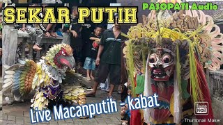 BARONG PREJENG \u0026 BURUNG GARUDA || SEKAR PUTIH LIVE DESA MACANPUTIH - KABAT - BANYUWANGI
