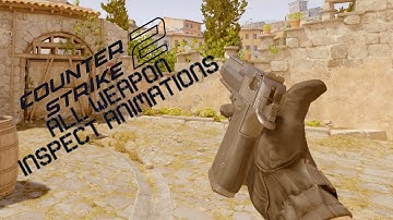 Counter-Strike 2 - All Weapon Inspect Animations