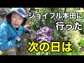 ガーデニングがやりたくてなって仕方ないだわ　【園芸超人カーメン君】
