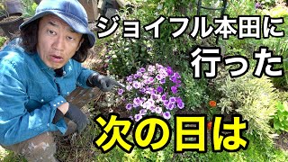 ガーデニングがやりたくてなって仕方ないだわ　【園芸超人カーメン君】
