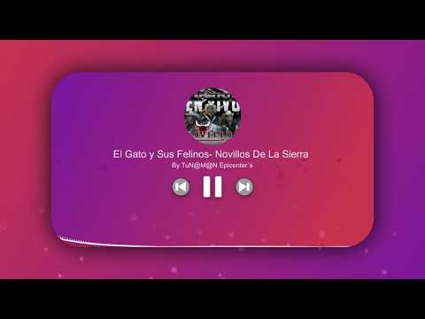 Los Novillos De La Sierra- El Gato y Sus Felinos- by TuN@M@N Epicenter´s