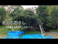 【お山の暮らし 013】 庭木の剪定 マキタの生垣バリカン使ってみた ! ! 草刈り追い込み