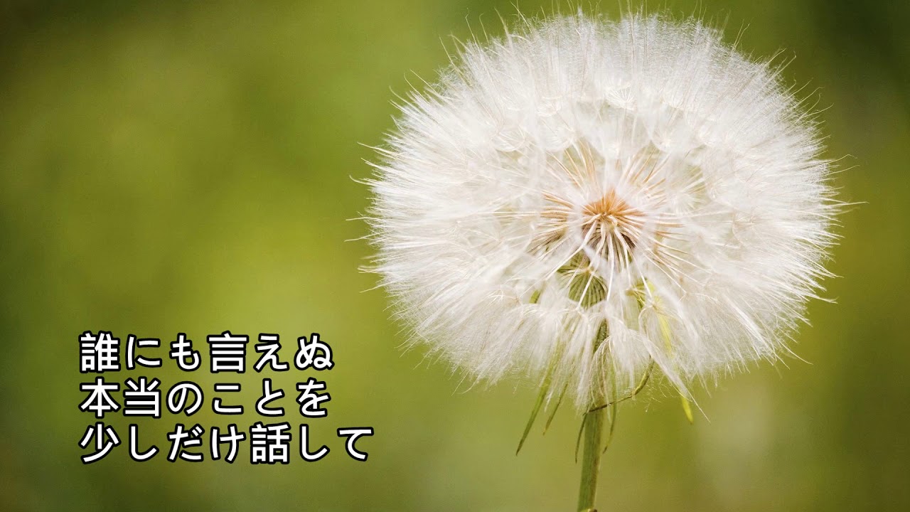 Oau 帰り道 Ewi5000 Cover きのう何食べた 日劇 昨日的美食 主題曲 Youtube