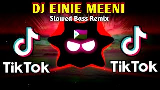 DJ EINIE MEENI X JUSTIN BIEBER_TIKTOK_VIRAL (SLOWED BASS REMIX) 2024