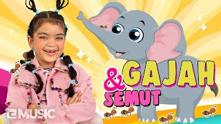MAZAYA - GAJAH DAN SEMUT