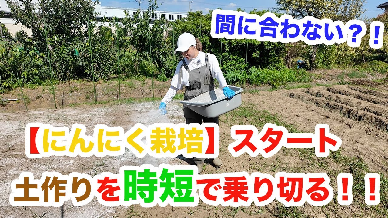 【にんにく栽培】土作り…手抜き？時短？大急ぎで追いつけ！植え付け間に合うか！？