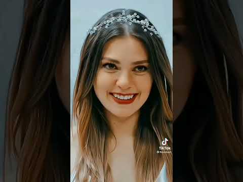شمس الشتاء