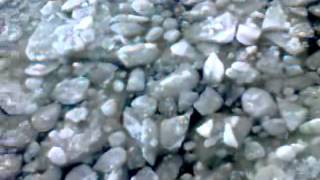 Inuit Magnetfisch, Cd Fruchtkönig, 2001