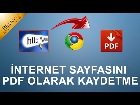 Video: Bir Sayfa Nasıl Resim Olarak Kaydedilir