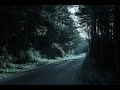 Horrorthriller moviethe wrong road 2018