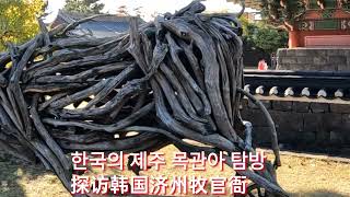 Visit the old official site of Jeju, South Korea