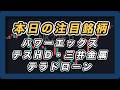 【本日の注目銘柄&日経平均展望 】パワーエックス・テスHD・テラドローン・三井金属