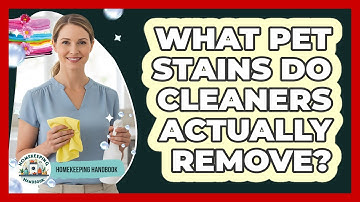 What Pet Stains Do Cleaners Actually Remove?