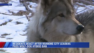 Famous Roanoke bans wolf-dog ownership, residents express relief Net Worth