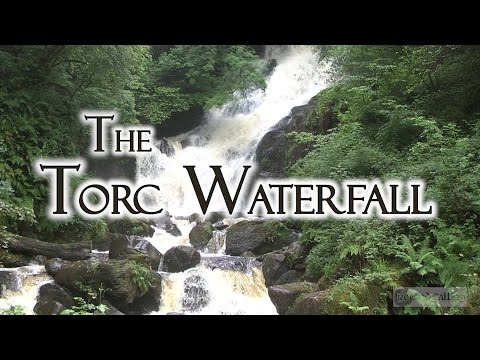 The Sights and Sounds of Torc Waterfall