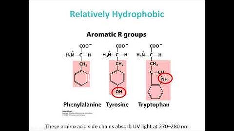 MBS 6250 Chapter 3 Lehninger - Amino acids, peptides, and protein