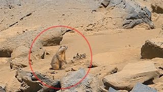 NASA Mars Perseverance Rover Sent Latest Mars 4k Video Footage || Live Mars in 4k: Sol 1151