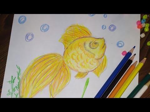 Золотая рыбка цветными карандашами.