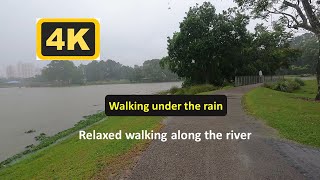 [4K] Walking under heavy rain  Lakeside Garden