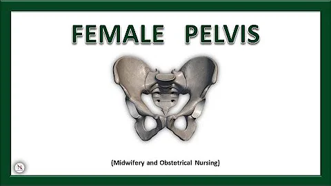 FEMALE PELVIS | Anatomy | Bones | Ligaments | Joints | True & False Pelvis | The Nurses Station