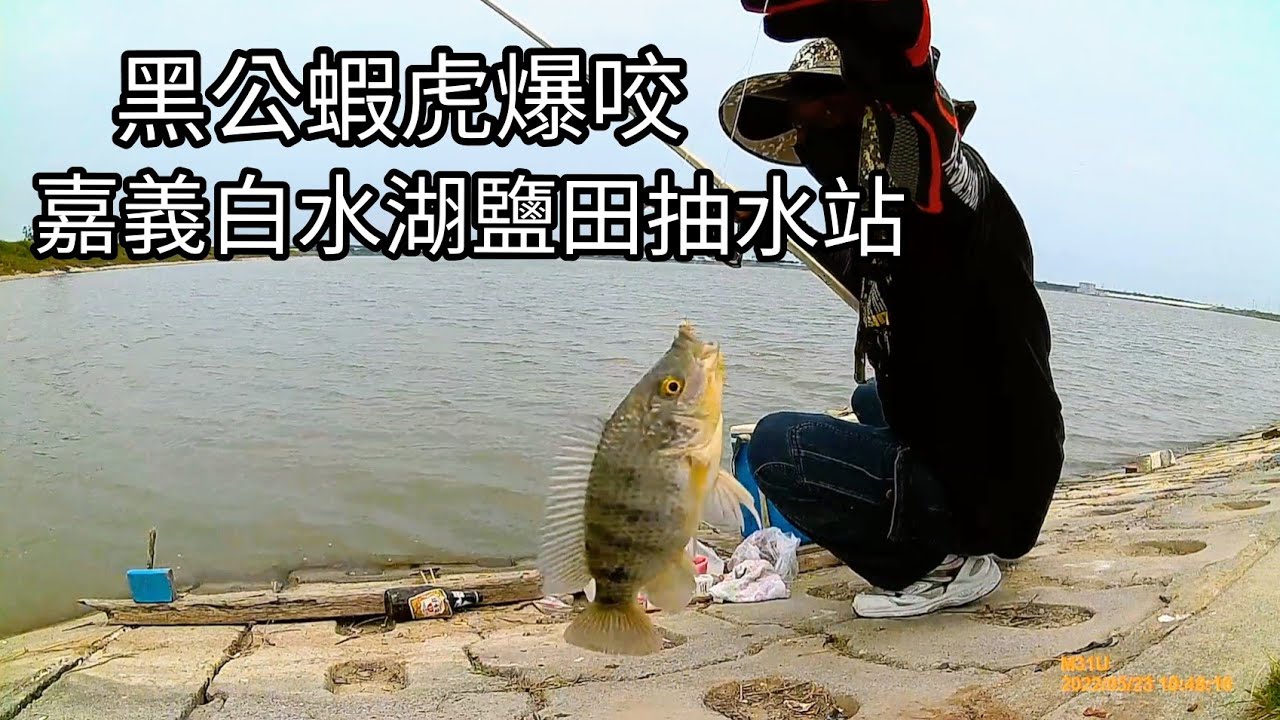 黑公 蝦虎爆咬，嘉義白水湖鹽場抽水站（130集）@Pin338548