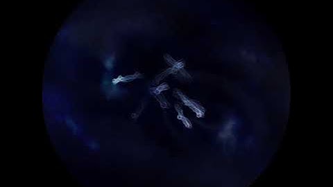 "Ekki Hugsa 360°", Trailer [Fulldome]