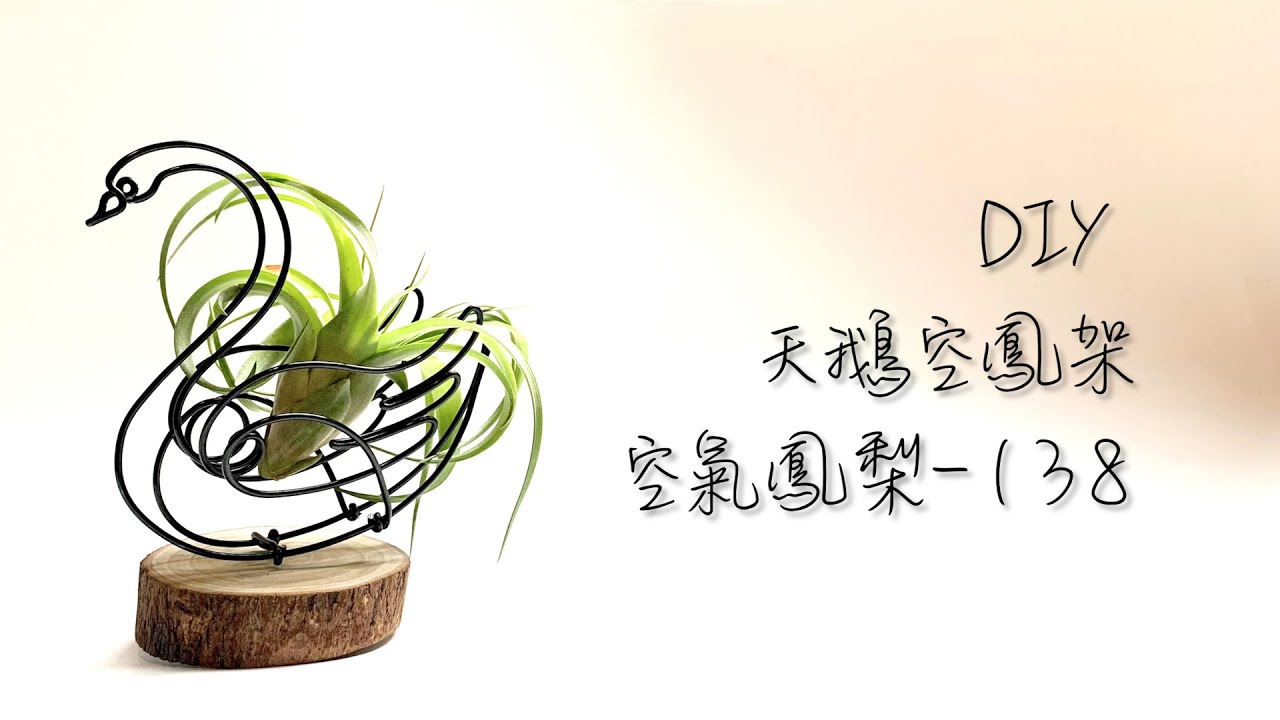 DIY wire 教你如何使用彩色鋁線製作空氣鳳梨 天鵝空鳳家 How to make Aluminum wire Air plant flowerstand swan