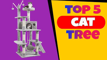 TOP 5: Best Cat Tree Tower on Amazon 2021 (Check It Here)...