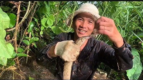 câu cá chạch khủng ở sông đồng nai (phần 4) tập 2 . ngẫu hưng vlog,