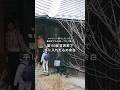 「今は家中が遊び場になっています」。築100年の古民家で暮らす建築士・笠井沙織さんにとっての豊かさ #古民家暮らし #青梅 #暮らしのvlog #移住生活 #日々の暮らし #リノベーション