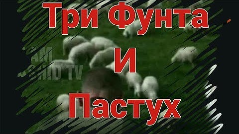Три Фунта и Пастух /Поучительная история /