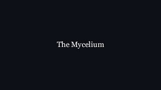 THE MYCELIUM // Incident File 0842 [Analog Horror]