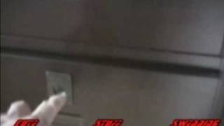 Cute Kitten Swearing!