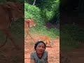 very funny video #funnyvideo #funny