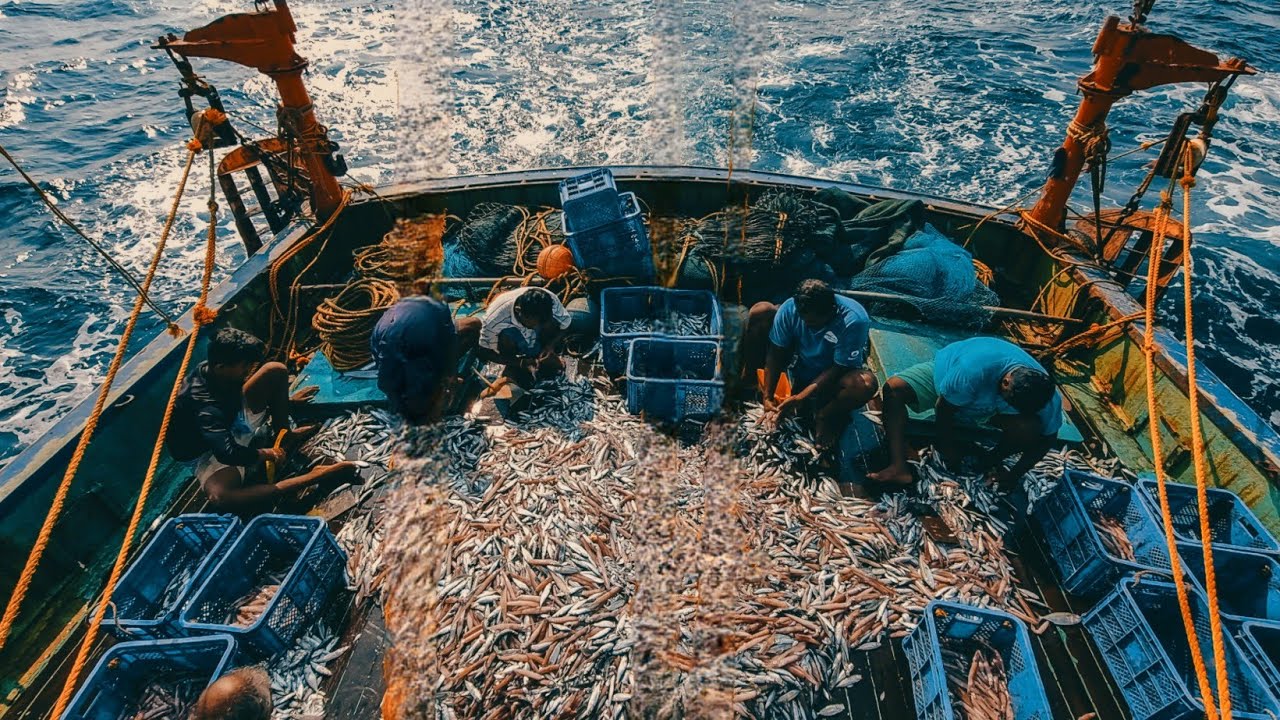 "Catching Squid Fishes In Sea"| വൈശാലി.....കൂന്തലിനെ പൊക്കിയപ്പോൾ....