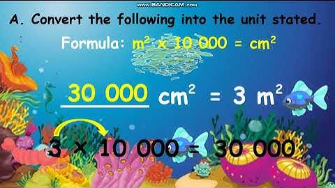 Learning Task M3: Converting sq. cm. to sq. m and Vice-Versa