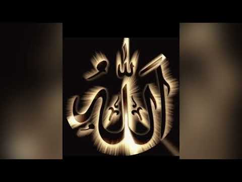 الله🤍