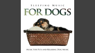 Soft Music For Dogs While You're Away screenshot 4