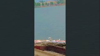 #love #motivation #viralvideos #viral #lifeisbutadream #viralreels #motivational #song #lifestory