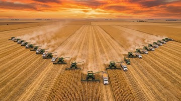 |HARVEST 2025|  I Was Completely WRONG About This Case IH Combine...