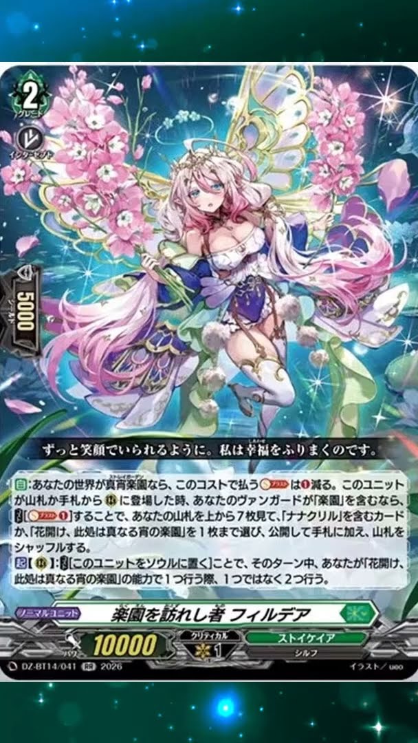 実物未使用DIRECT ACTION VANGUARD SH-VGCS-PDF Vanguard 1X - 10310 - Vaniman