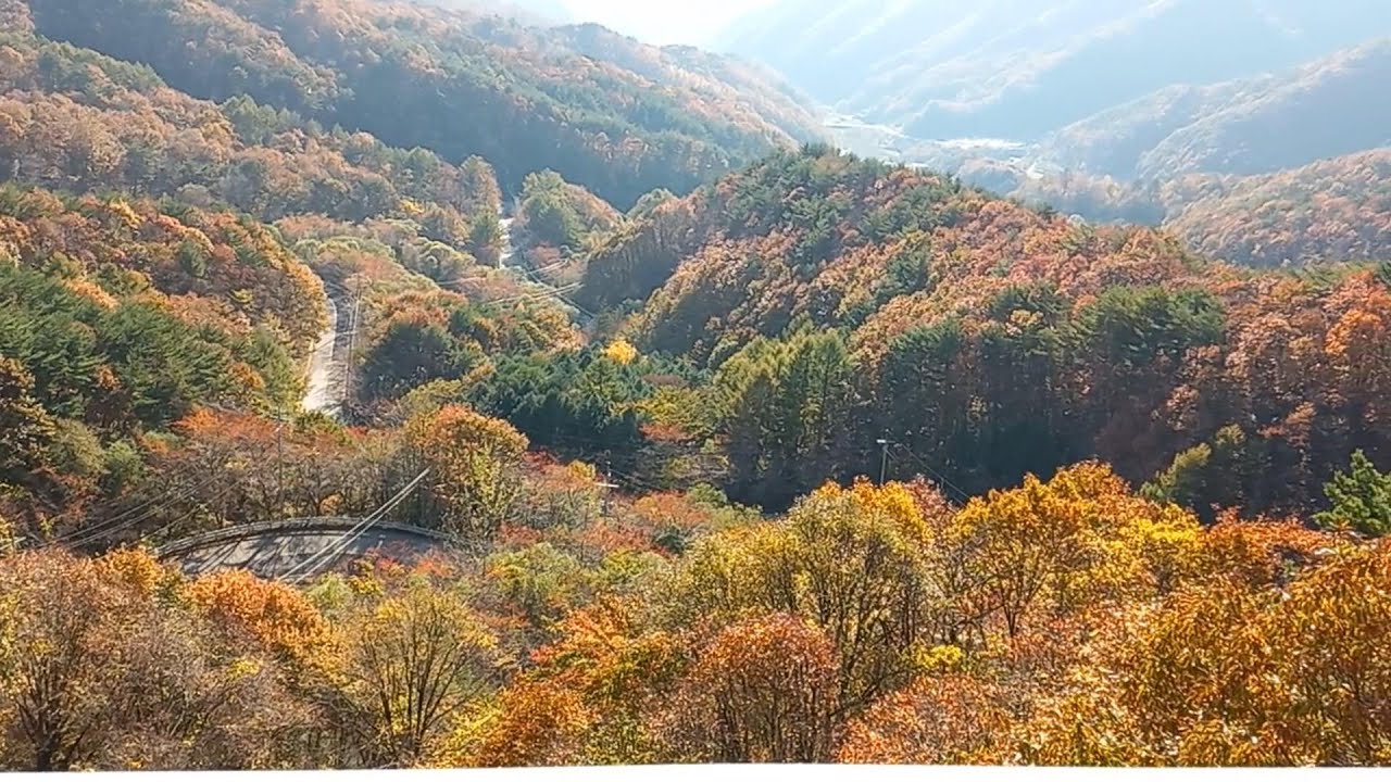 271편.도마령으로 드라이브!(도덕재를 넘어 도마령으로 그리고 우두령을 지나~!)