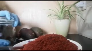 How to make a healthy avocado seed powder and it’s benefits