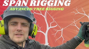 Span Rigging: Pro Tree Rigging Method Explained